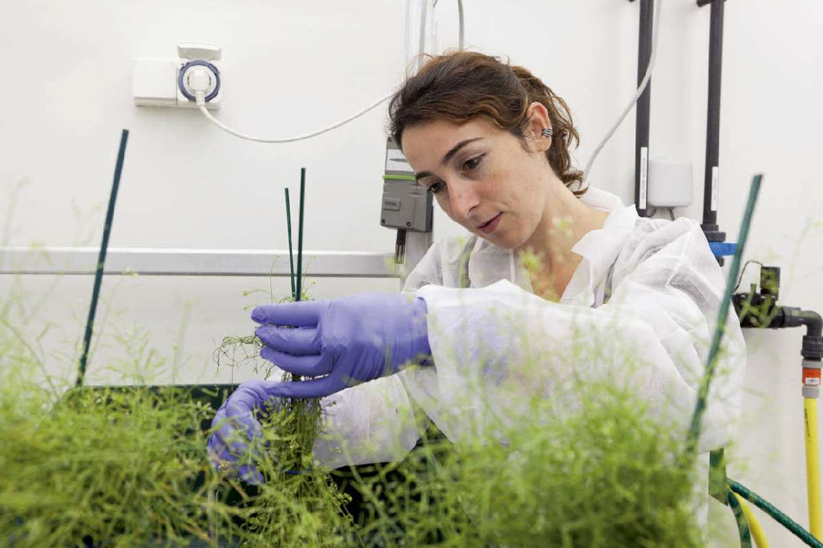 Biologiste En Environnement - Onisep